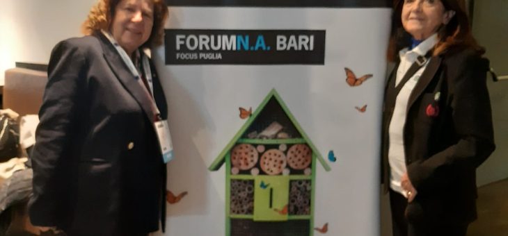 Forum della Non Autosufficienza