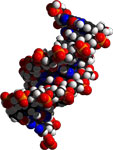 dna